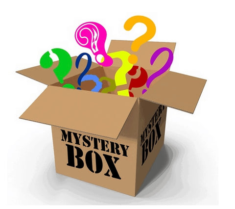 Surprise Mystery Accessory Box (Western Fashion) Jewelry **NOT INCLUDED WITH BULK INVENTORY CLEAN**
